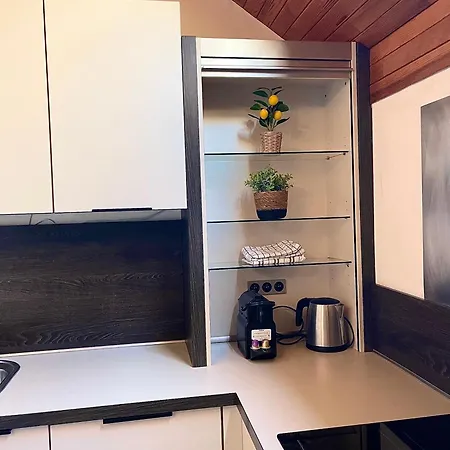 Apartment Cosy Albertville Parking Gratuit *
