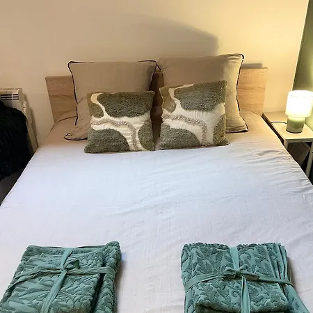 Lejlighed Cozy Albertville Parking Gratuit Gilly-sur-Isere